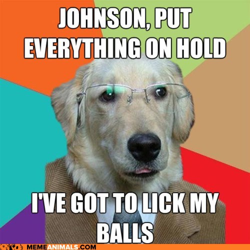 I guess you could switch "Johnson" and "Balls" and it would still be funny.  (Image from viewsfromthecouch dot com)